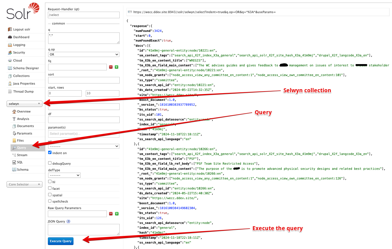 Solr query